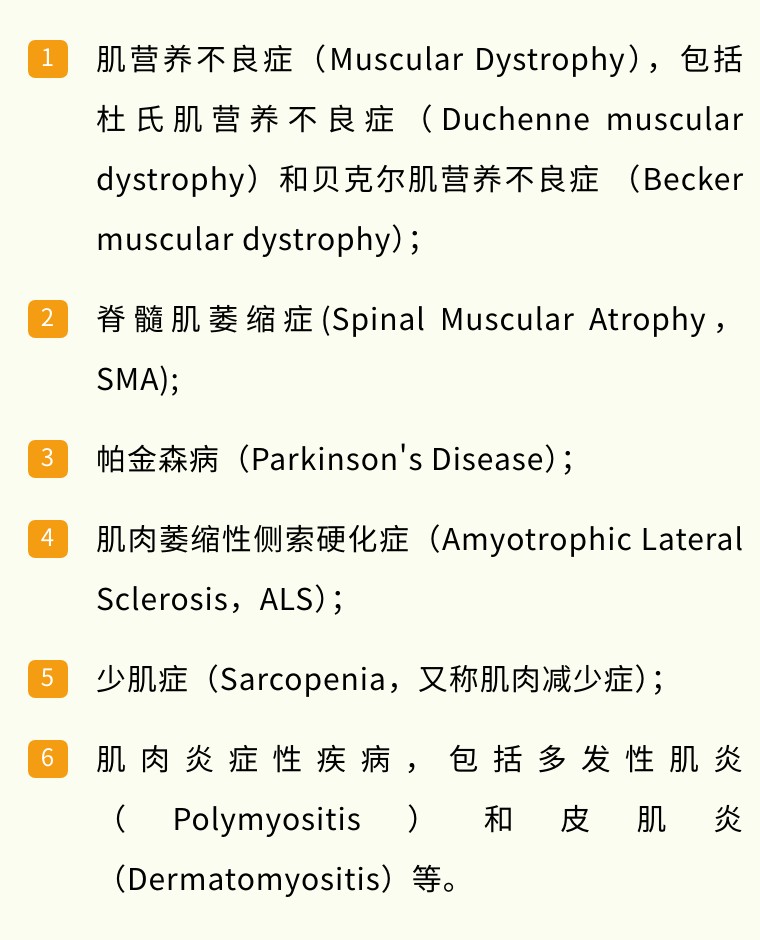 从“全能”到“肌能” | 昂朴hiPSC来源的骨骼肌细胞分化技术及应用全解析