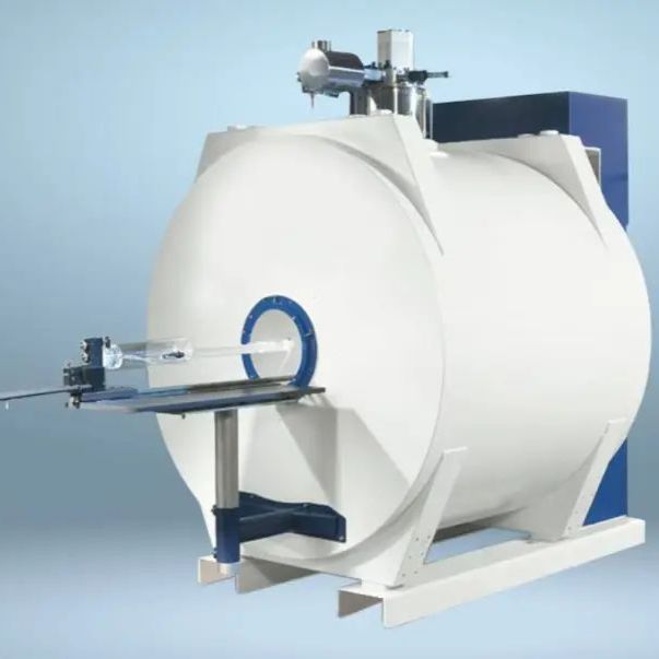 小动物核磁共振成像服务（MRI）