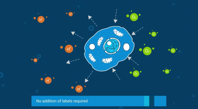 安捷伦 Seahorse XF Flex 细胞能量代谢分析仪 — 开启 3D 模型研究的未来