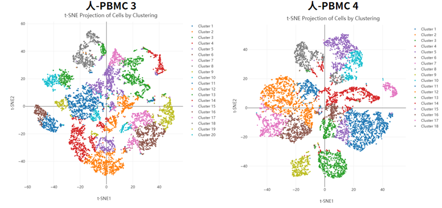 百奥益康人外周血单个核细胞(PBMC)分离液