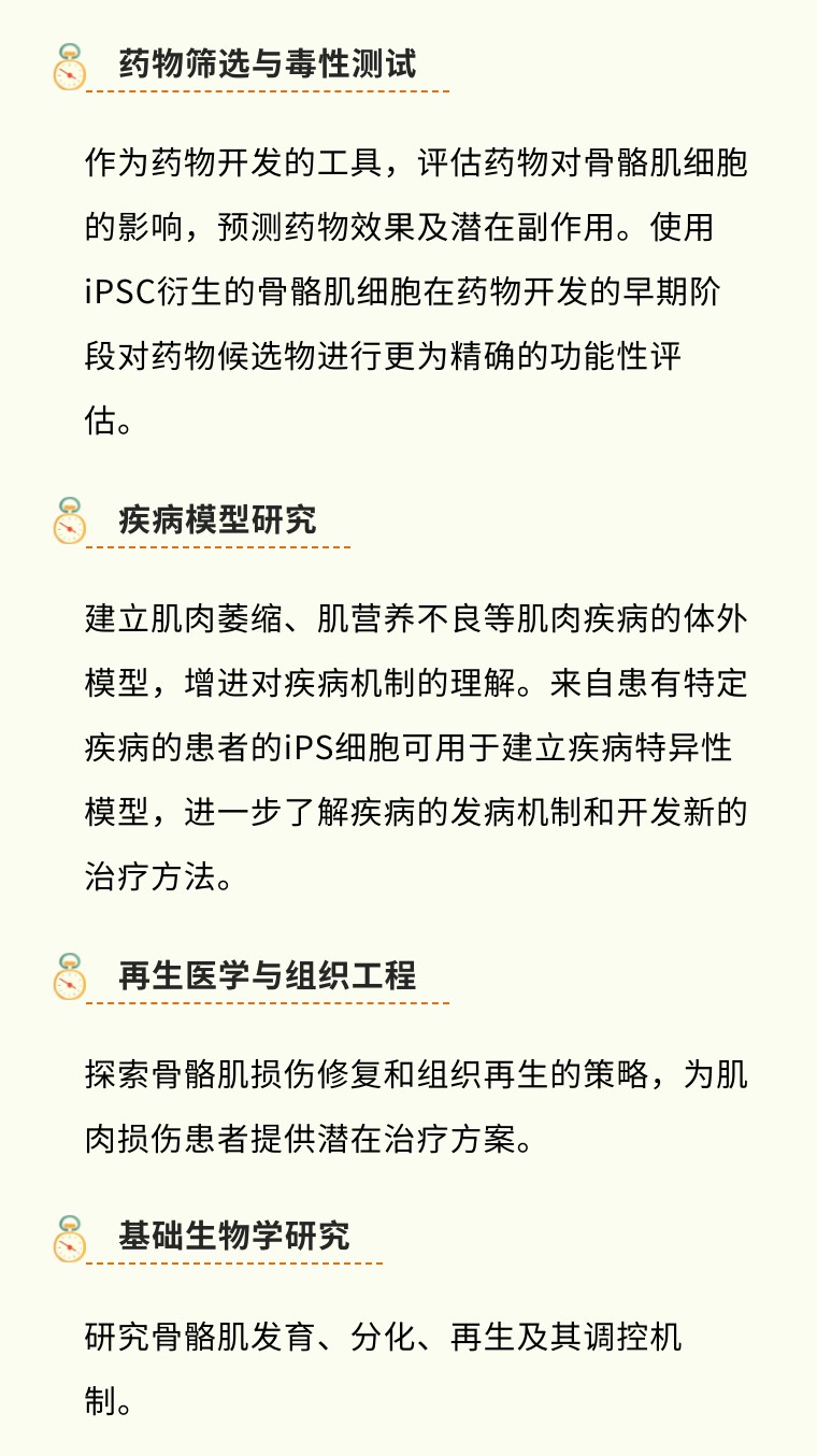 从“全能”到“肌能” | 昂朴hiPSC来源的骨骼肌细胞分化技术及应用全解析