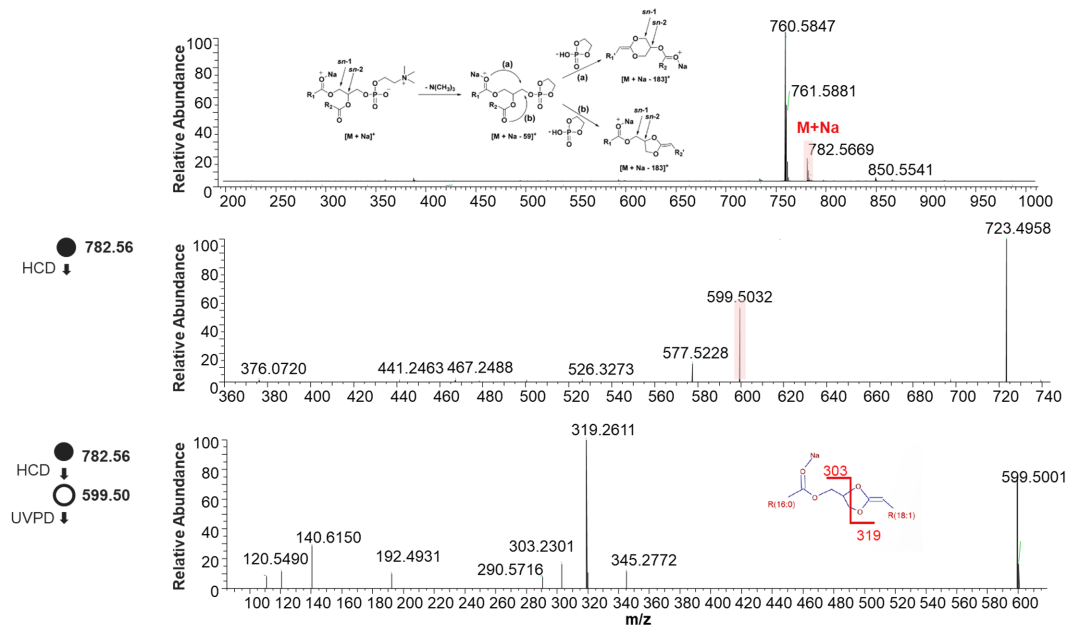 Orbitrap多种碎裂方式深度解析脂质精细结构