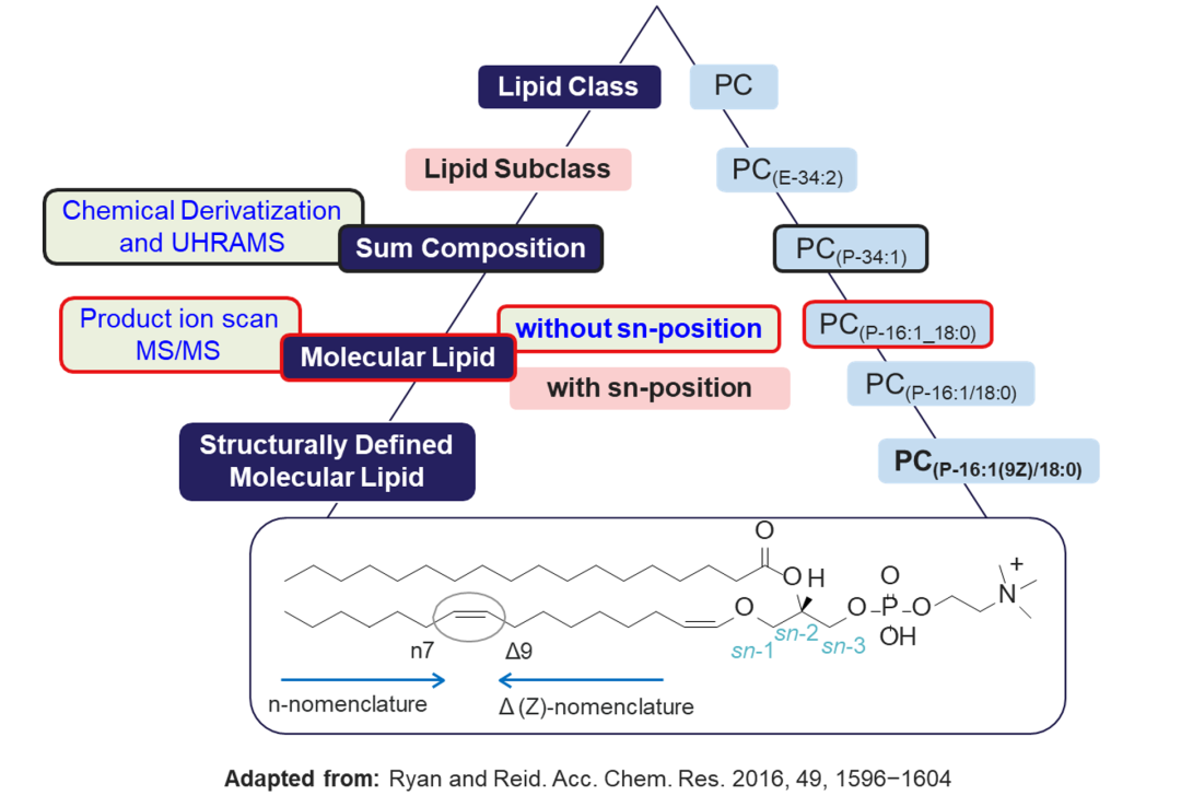 Orbitrap多种碎裂方式深度解析脂质精细结构