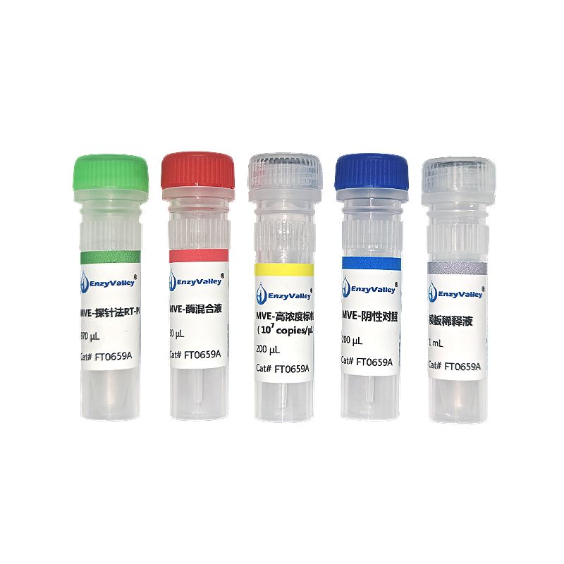 墨累谷脑*病毒探针法RT-PCR试剂盒
