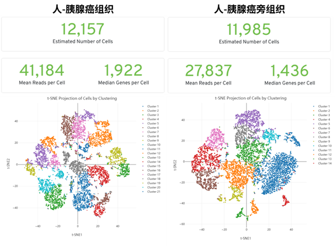 百奥益康胰腺组织解离试剂盒