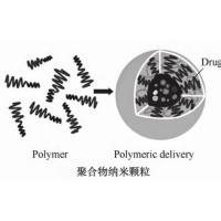 负载DNMT3A-siRNA的鱼精蛋白纳米颗粒被抗CD33抗体修饰 DNMT3A-siRNA@Prot NPs-Anti-CD33 scFv