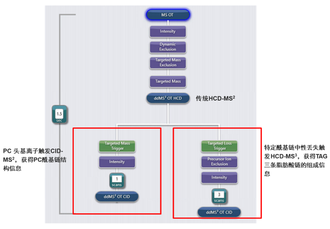 Orbitrap多种碎裂方式深度解析脂质精细结构