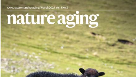 Nature Aging（IF=19.4）| iPSC与亚细胞蛋白质组学强强联合，发现阿尔茨海默病轴突病变的可逆机制