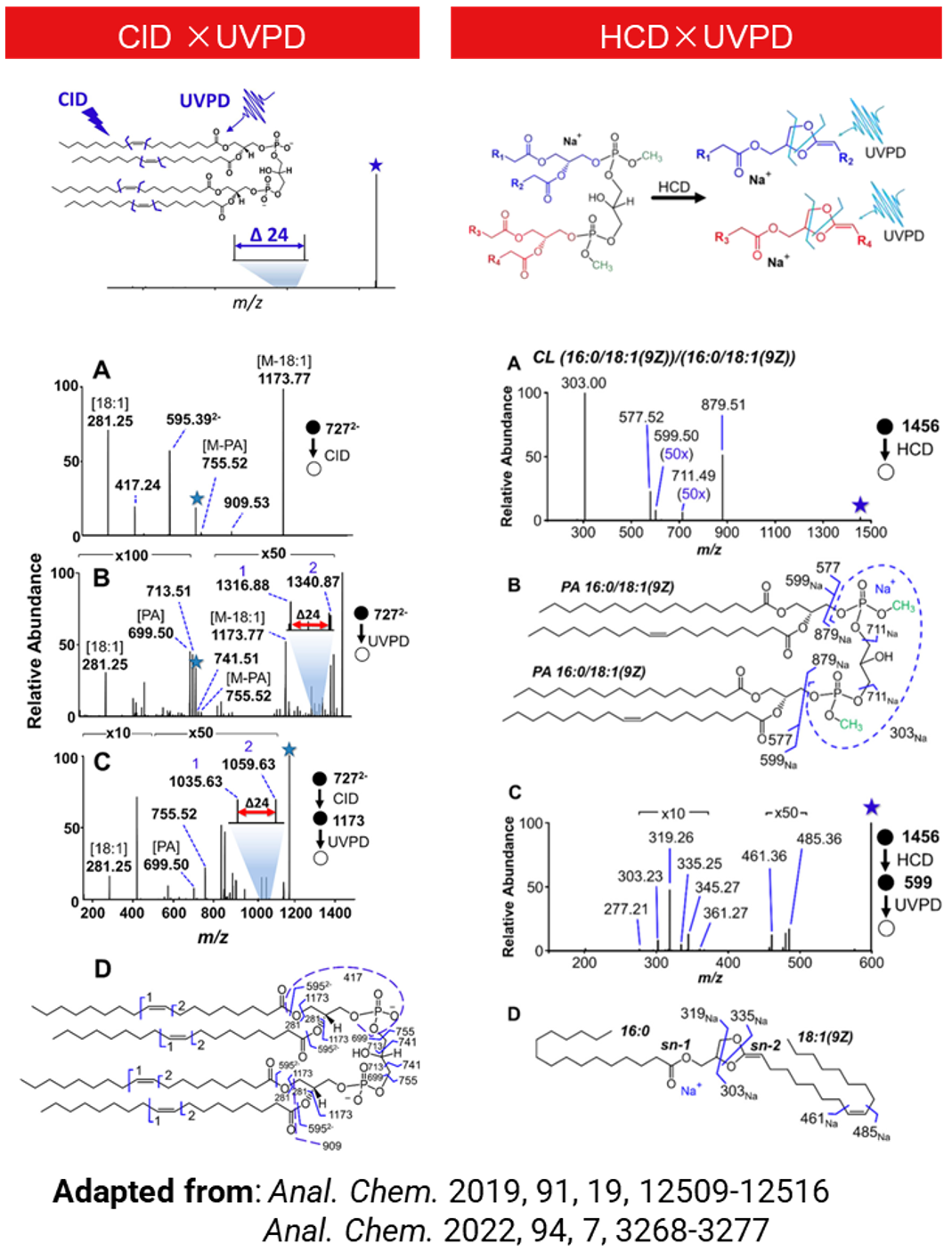 Orbitrap多种碎裂方式深度解析脂质精细结构