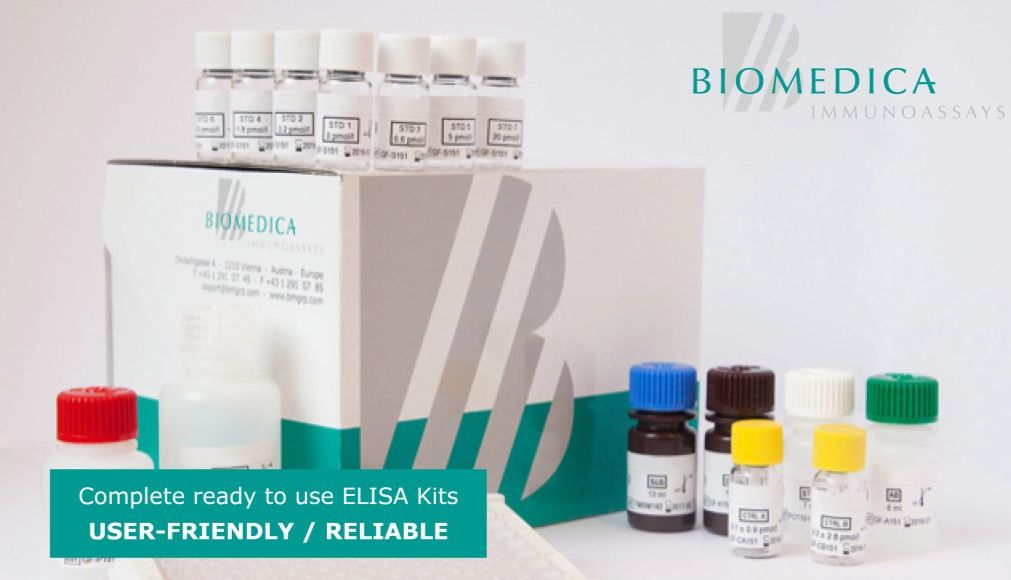 大鼠NT-proBNP——在TACO大鼠模型中呈现临床相关水平