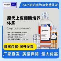 原代上皮细胞培养体系