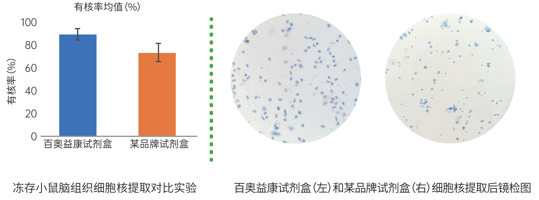 百奥益康动物组织细胞核悬液制备试剂盒