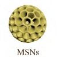 负载环丙沙星的介孔二氧化硅纳米颗粒被透明质酸修饰 CIP@MSNs-HA