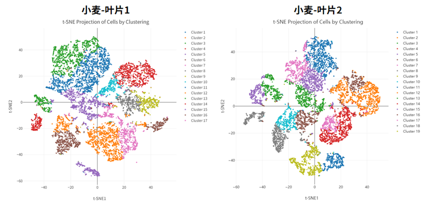 百奥益康植物组织通用细胞核悬液制备试剂盒
