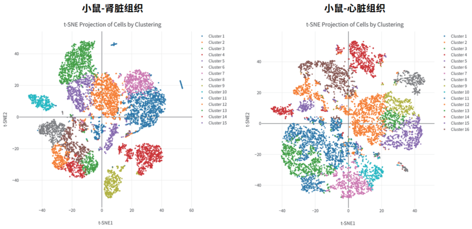 百奥益康动物组织细胞核悬液制备试剂盒