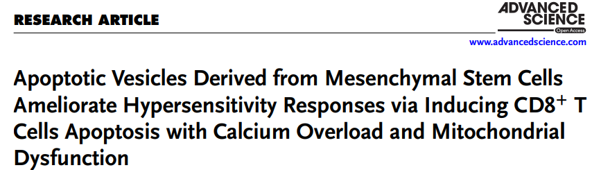 Adv Sci：转录组+蛋白质组揭示间充质干细胞来源的凋亡小泡靶向调控CD8+ T细胞稳态缓解超敏反应的作用机制