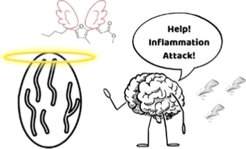WMicrotracker小动物活动力分析系统文章分享20250724