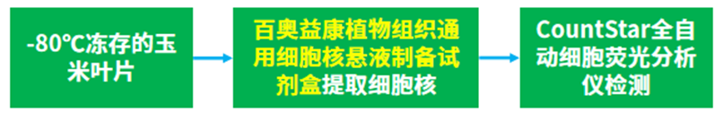 百奥益康植物组织通用细胞核悬液制备试剂盒