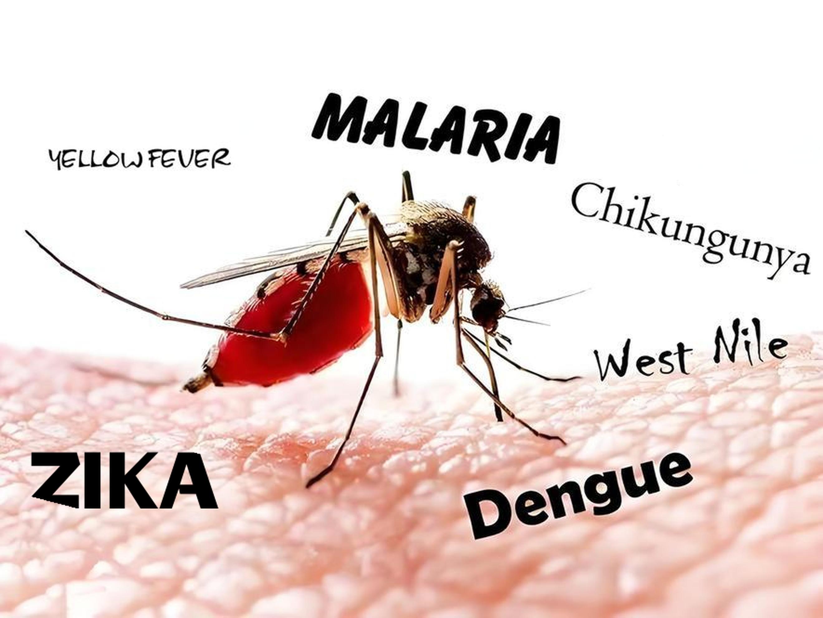 直面基孔肯雅疫情: ZeptoMetrix现货病原体原料与质控品快速响应方案