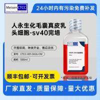 人永生化毛囊真皮乳头细胞-sv40完培 IHFDPC-SV40-CM