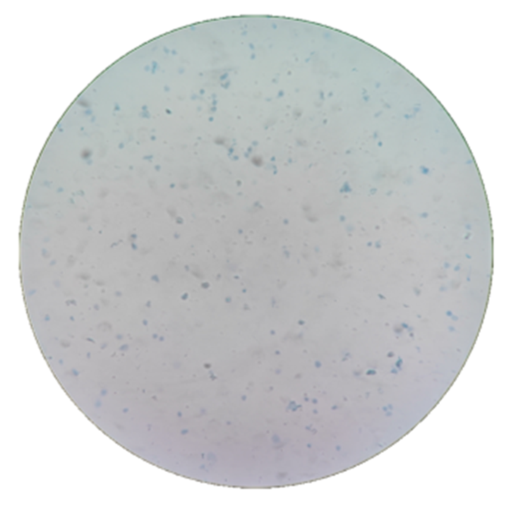 百奥益康植物组织通用细胞核悬液制备试剂盒