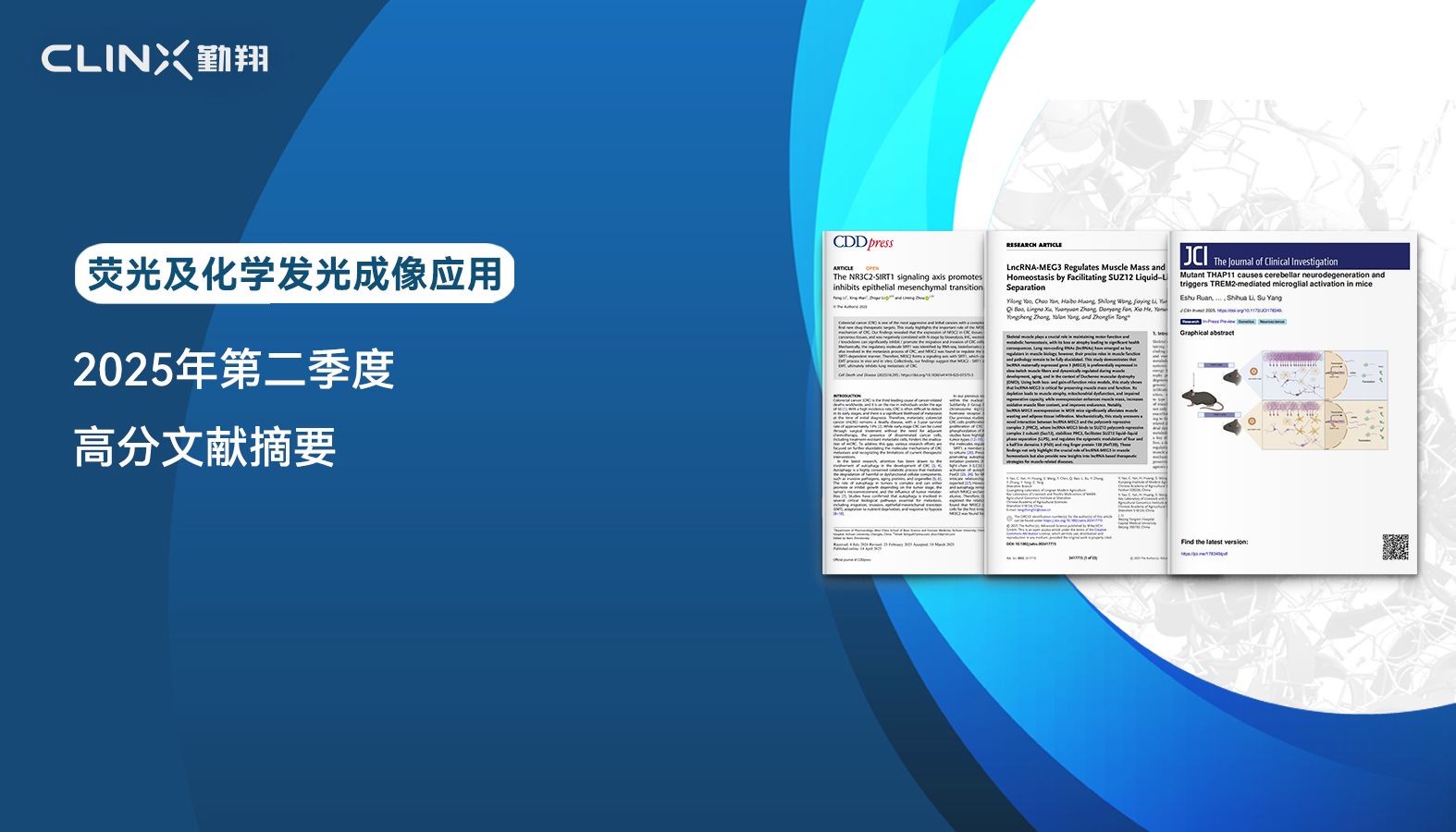 ChemiScope荧光及化学发光成像| 2025年第二季度高分应用文献摘要