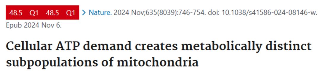 线粒体研究新思路：新型线粒体的探索