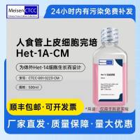 人食管上皮细胞完培 Het-1A-CM