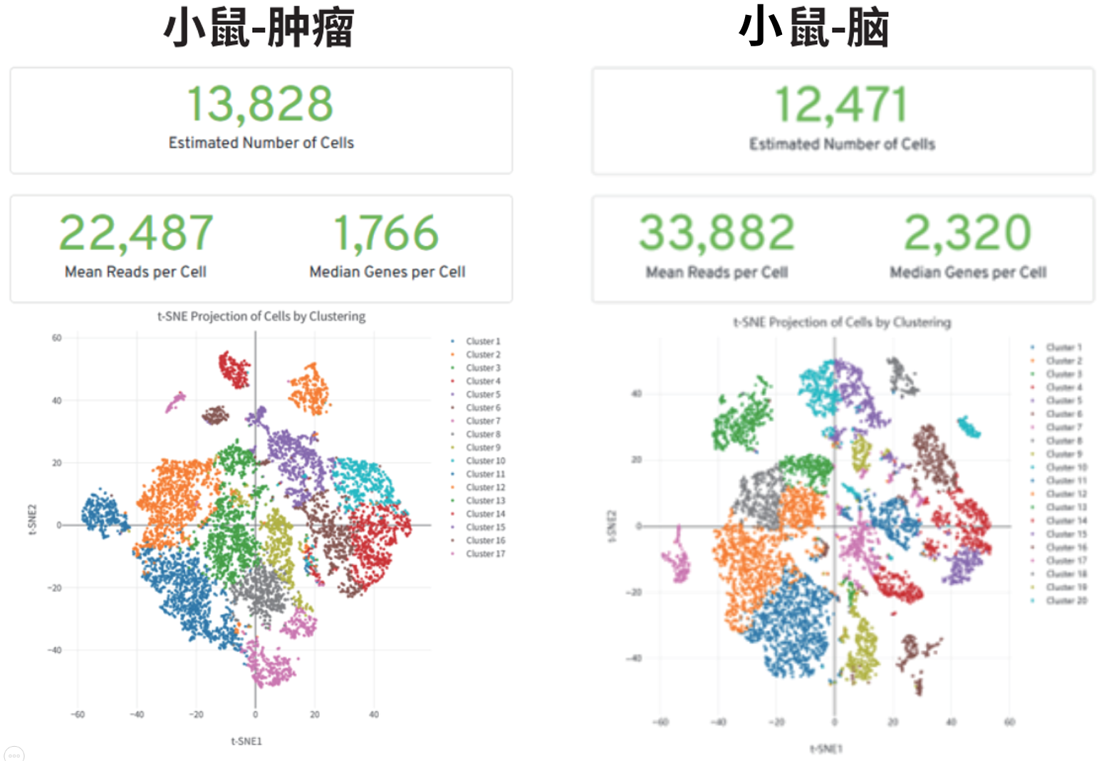 百奥益康动物组织冻存液