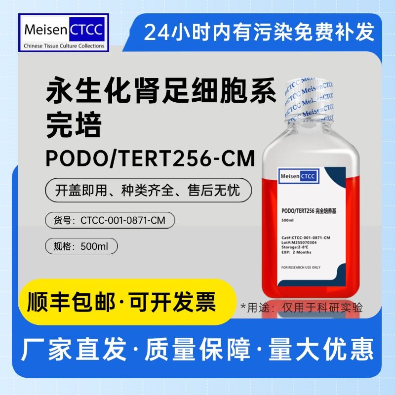 永生化肾足细胞系完培 PODO/TERT256-CM