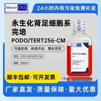 永生化肾足细胞系完培 PODO/TERT256-CM