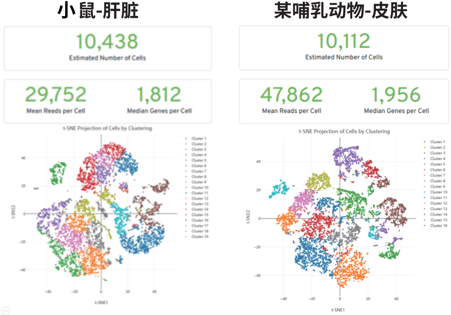 百奥益康动物组织冻存液