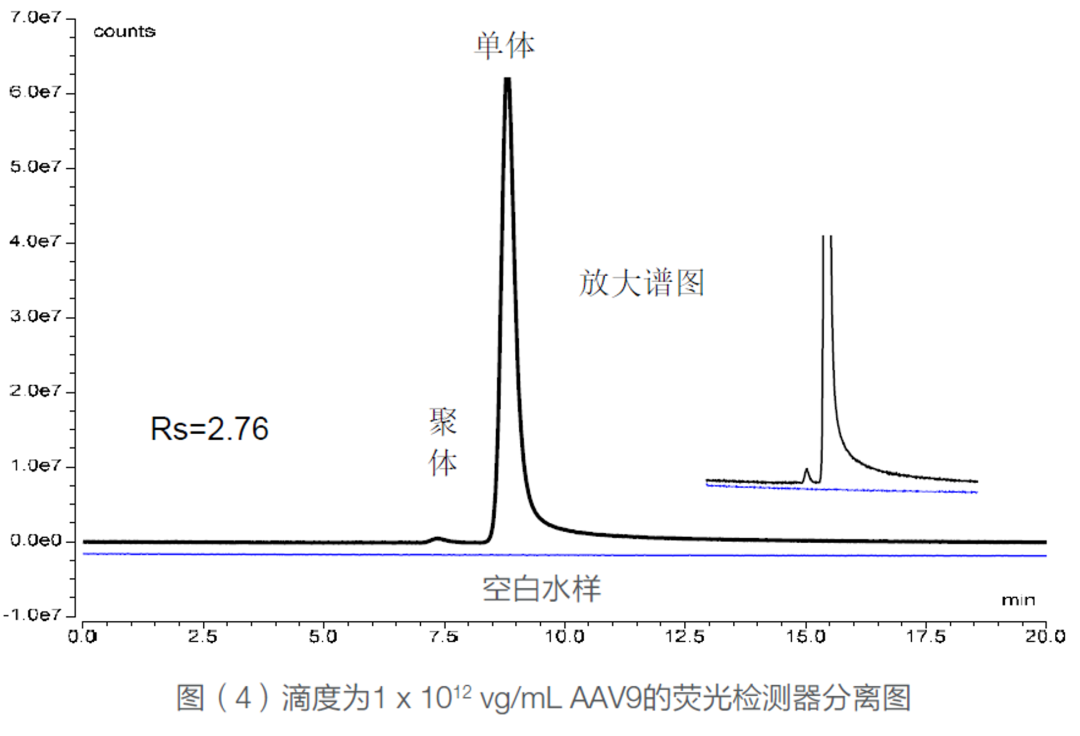 技术革新 提质增效 | 一个流动相条件完成蛋白，mRNA和AAV的聚体分析