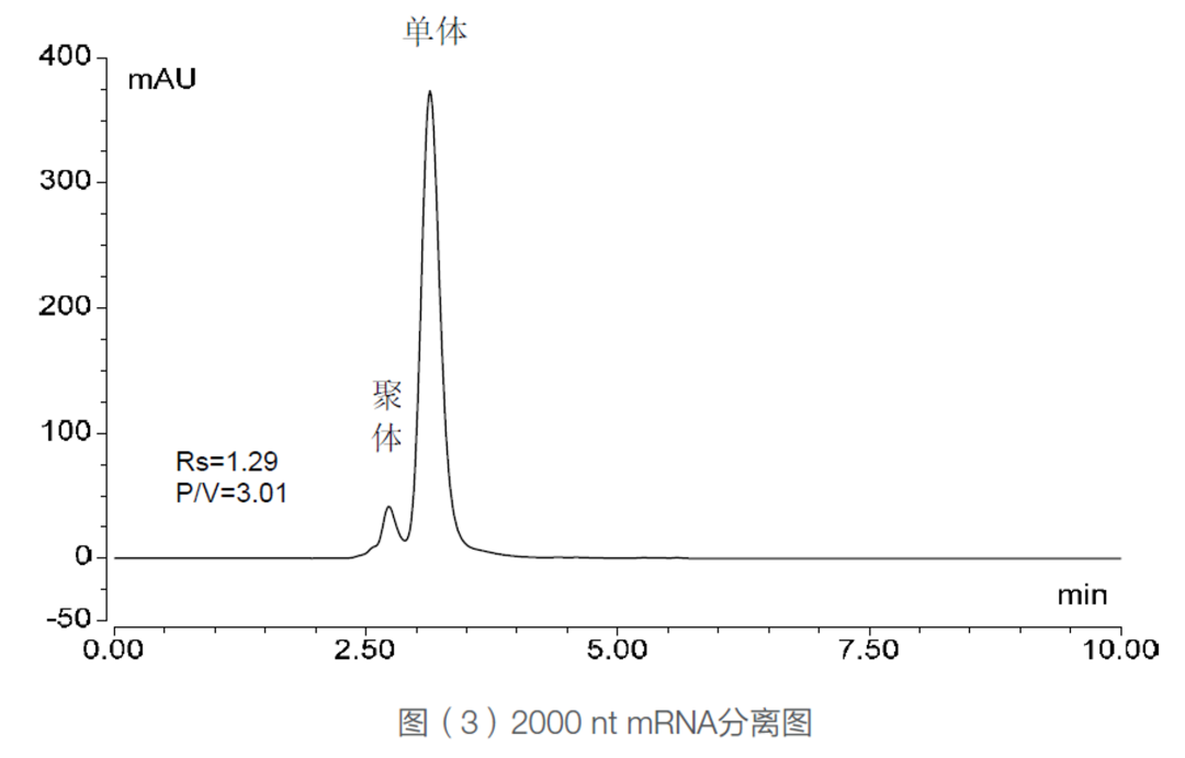 技术革新 提质增效 | 一个流动相条件完成蛋白，mRNA和AAV的聚体分析