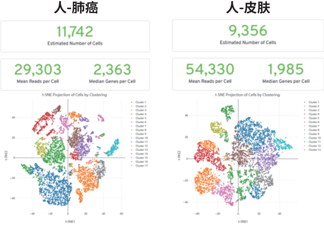 百奥益康动物组织冻存液