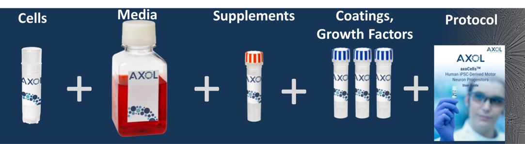 Axol细胞产品优势及方案流程
