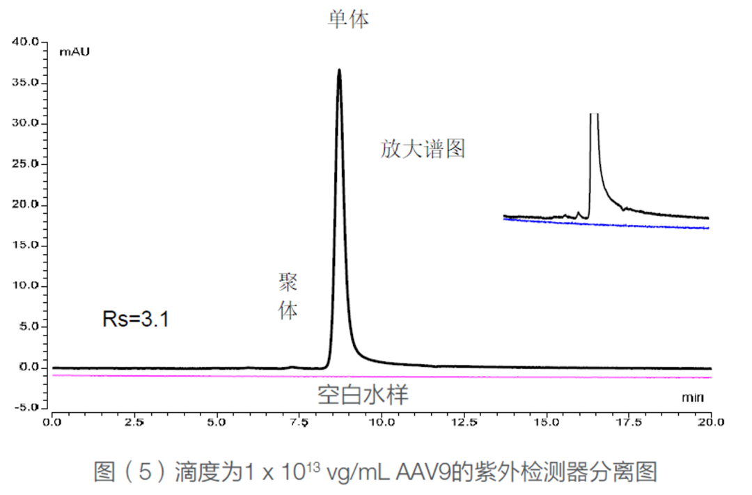 技术革新 提质增效 | 一个流动相条件完成蛋白，mRNA和AAV的聚体分析