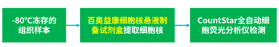 百奥益康动物组织细胞核悬液制备试剂盒