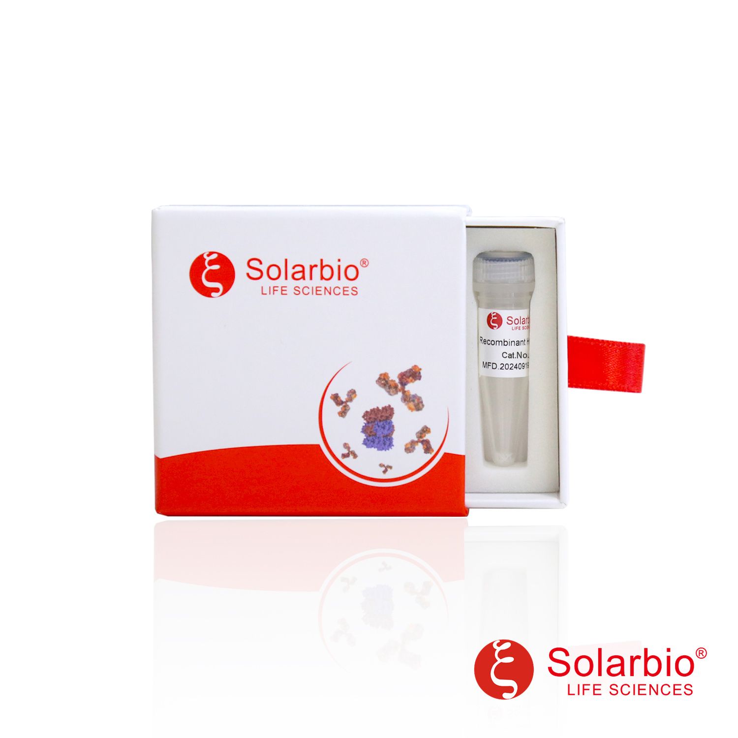 P01113 Recombinant Mouse Fc gamma RIII/CD16/FCGR3 细胞因子/蛋白