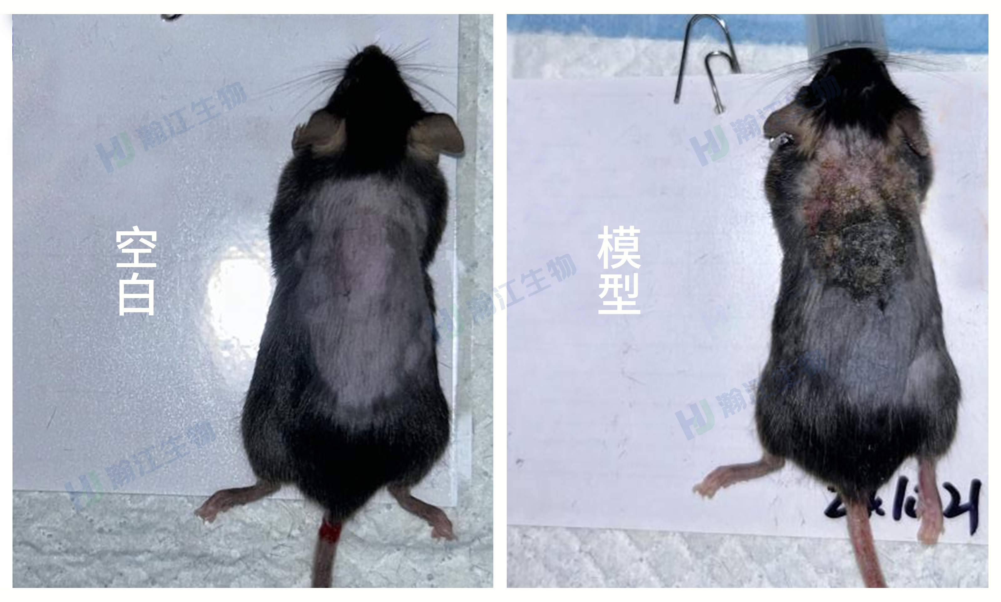 产品细节图片1
