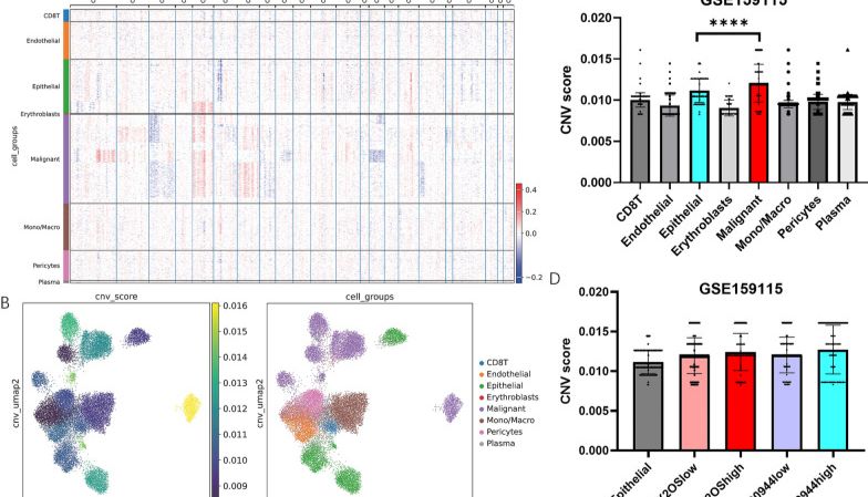 IF:7.5顶刊力证！透明细胞肾细胞癌的预后lncRNA升级思路，创新性与深度兼具！
