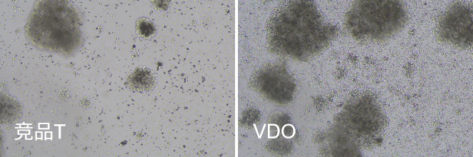 CD3/CD28激活磁珠在研发细胞治疗产品中的应用