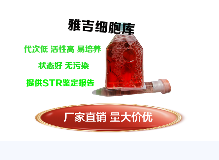 掌握这几种方法：轻松辨别细胞状态