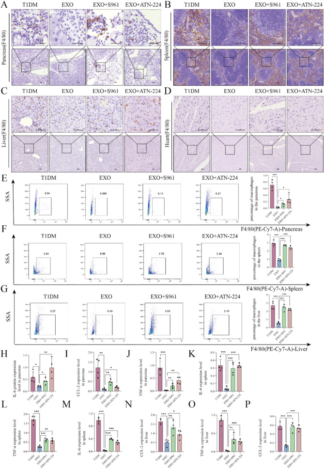 流式细胞术 流式细胞术