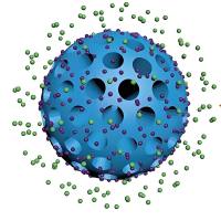 聚多巴胺纳米粒包载丹酚酸B  PDA NPs@Salvianolic acid B