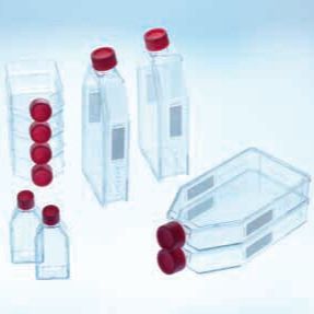 标准盖细胞培养瓶，175cm²