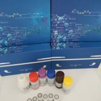 人干扰素a2b(IFNa2b) ELISA检测试剂盒