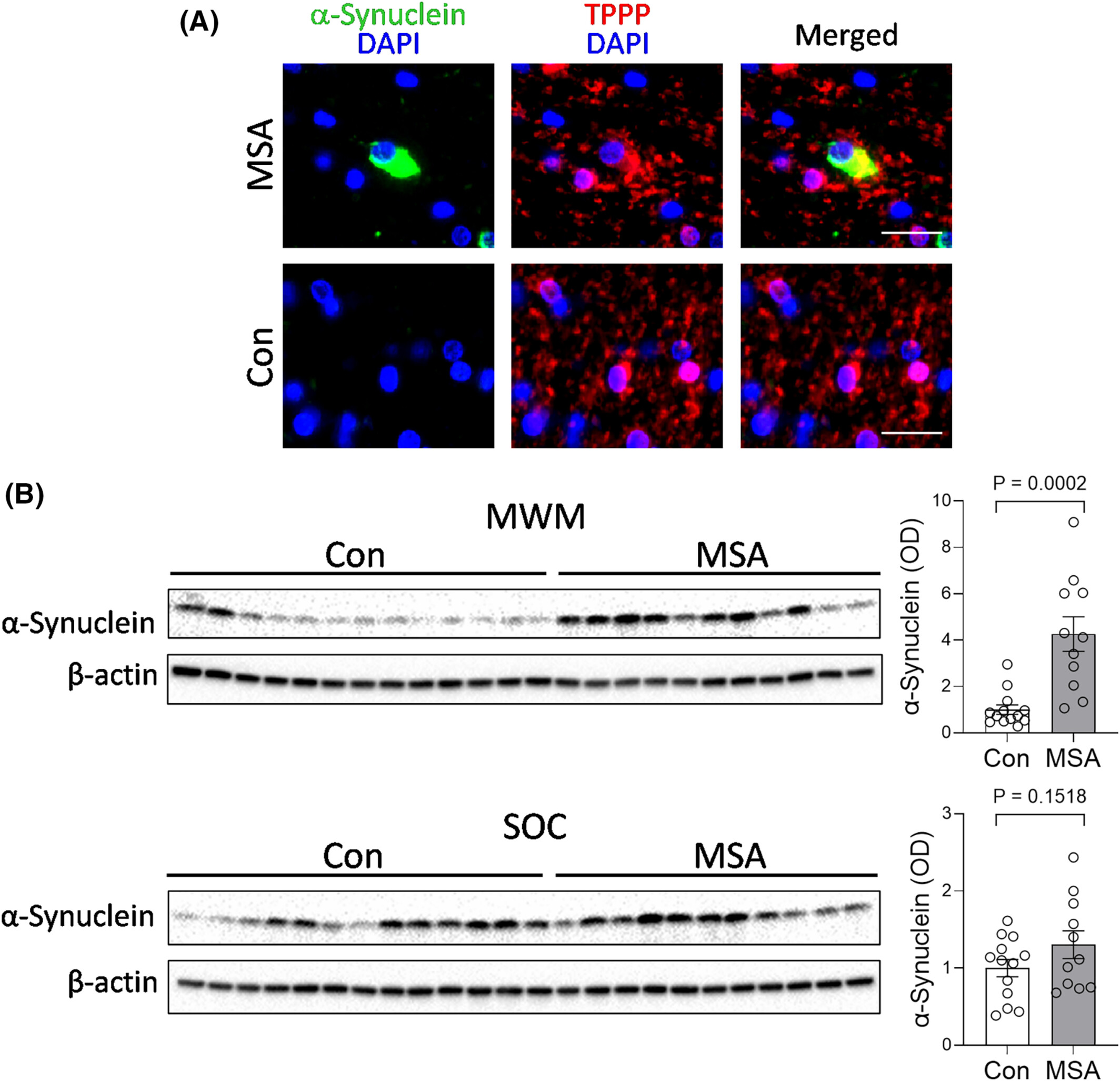 BMG LABTECH多功能酶标仪文献分享20250725