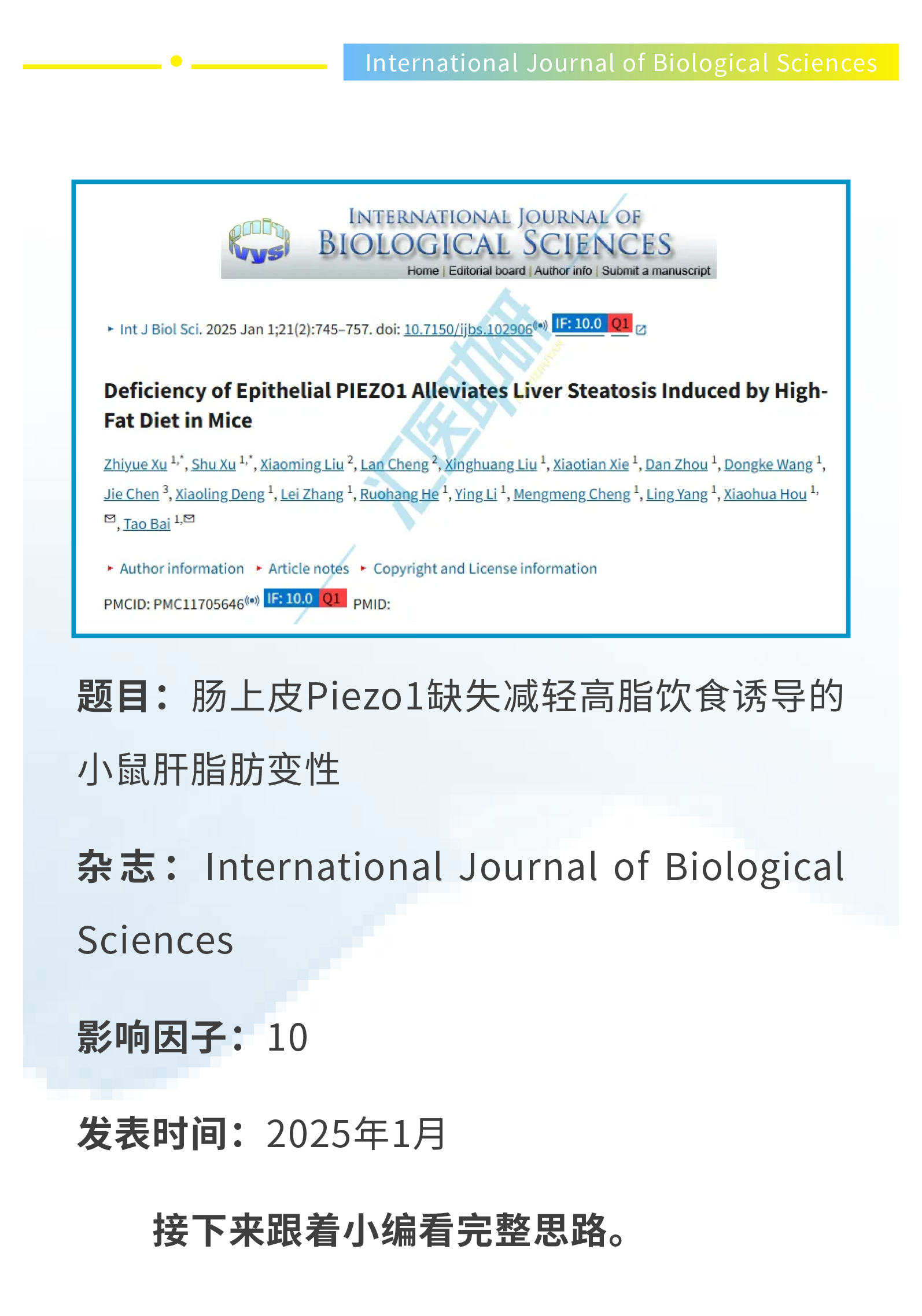 期刊飞升,10分一区Top再收Piezo1!微生物组+转录组+代谢组+类器官,武汉协和医院研究团队为代谢性疾病研究提供新范本~