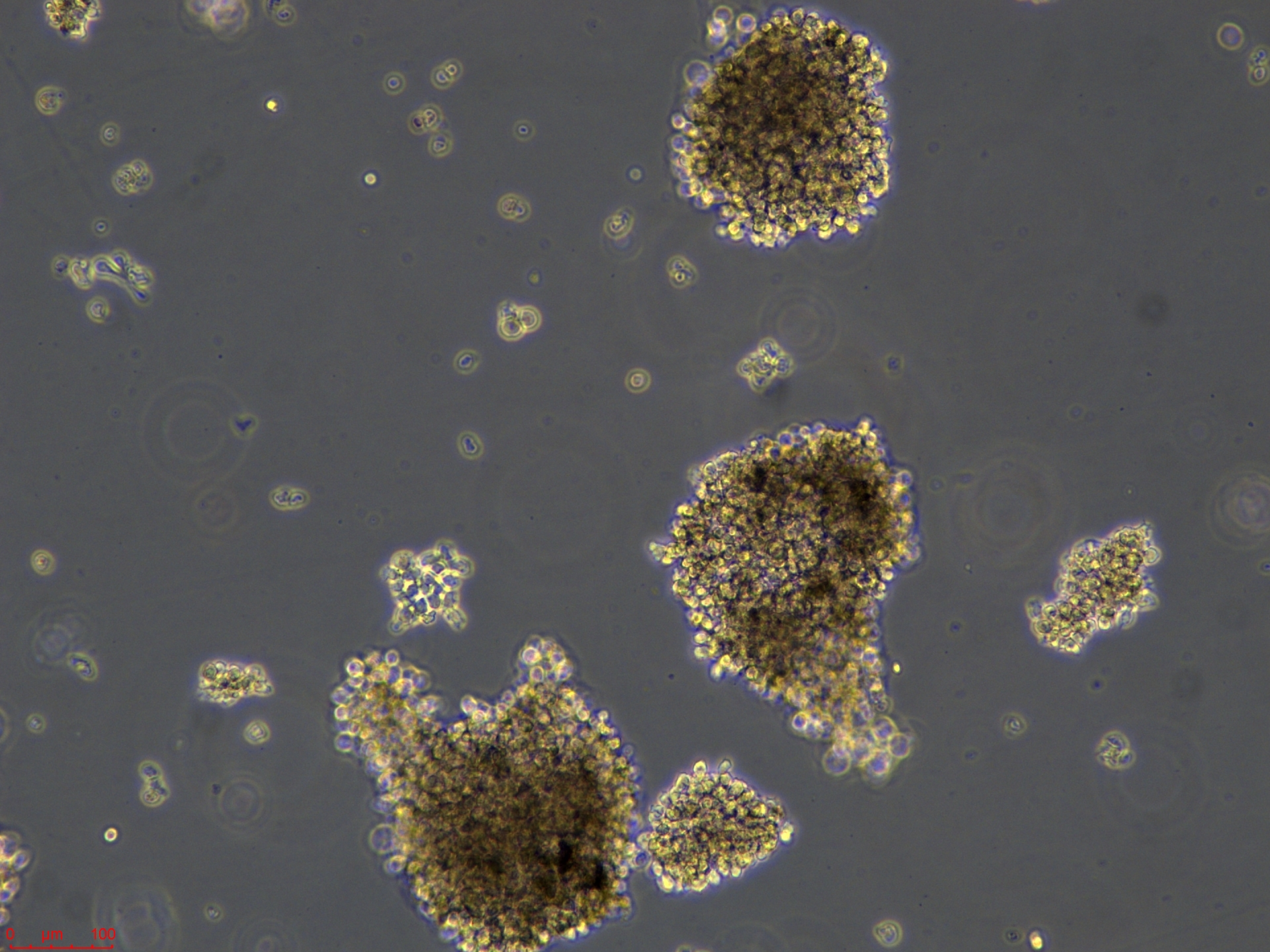 Project_oci-ly3_ch00 (2).jpg